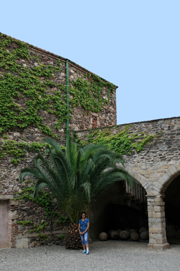 2007-07 Collioure 026.jpg